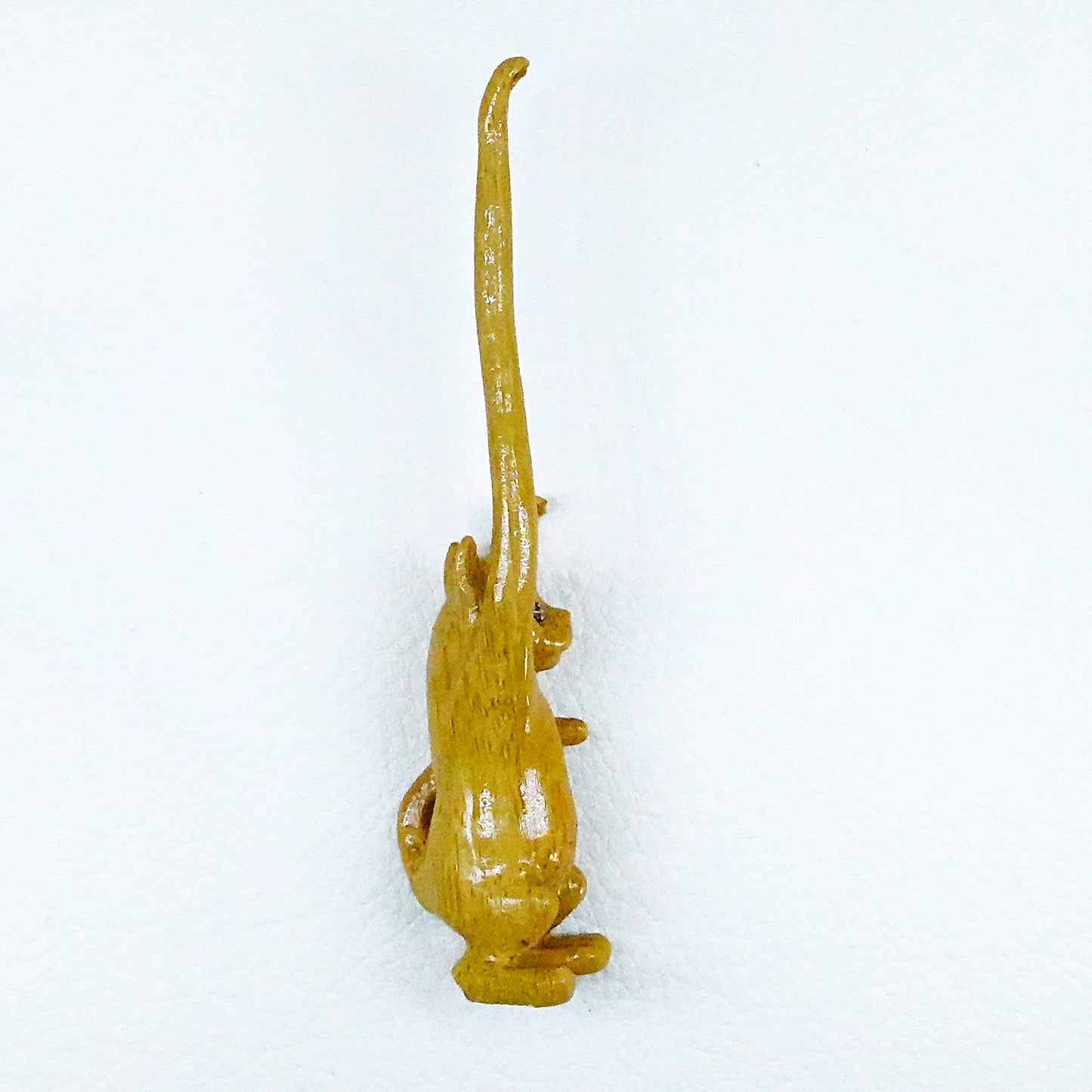 Cure-oreilles chat